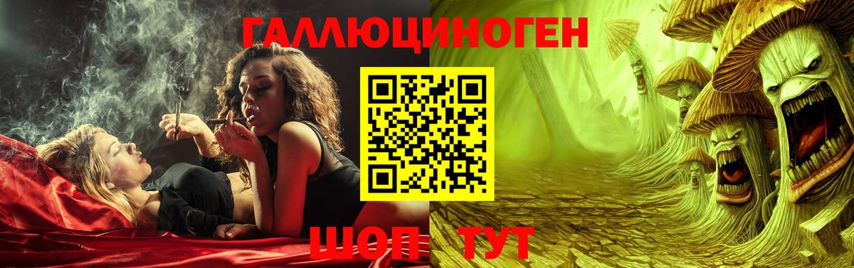 Канаш  Псилоцибиновые грибы ЛСД  купить наркотики сайты  Вход с VPN 
